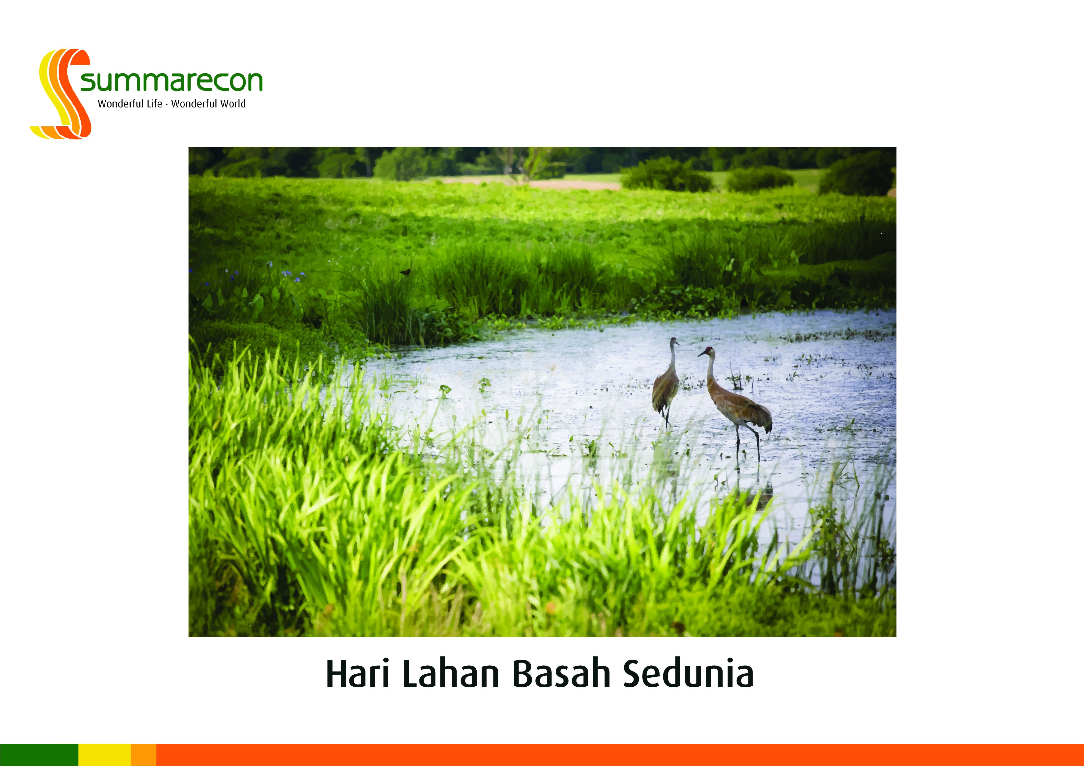 Artikel - Hari Lahan Basah