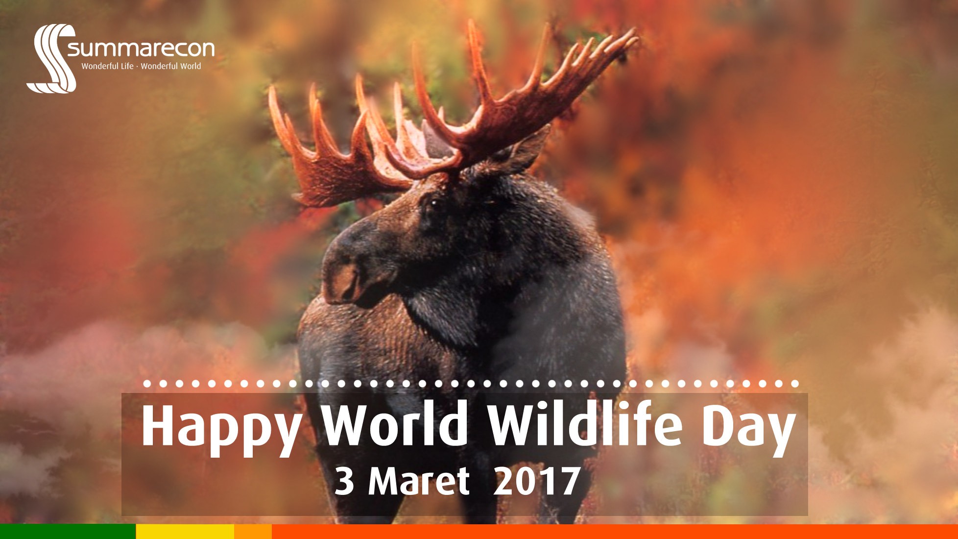 World Wildlife Day 2017