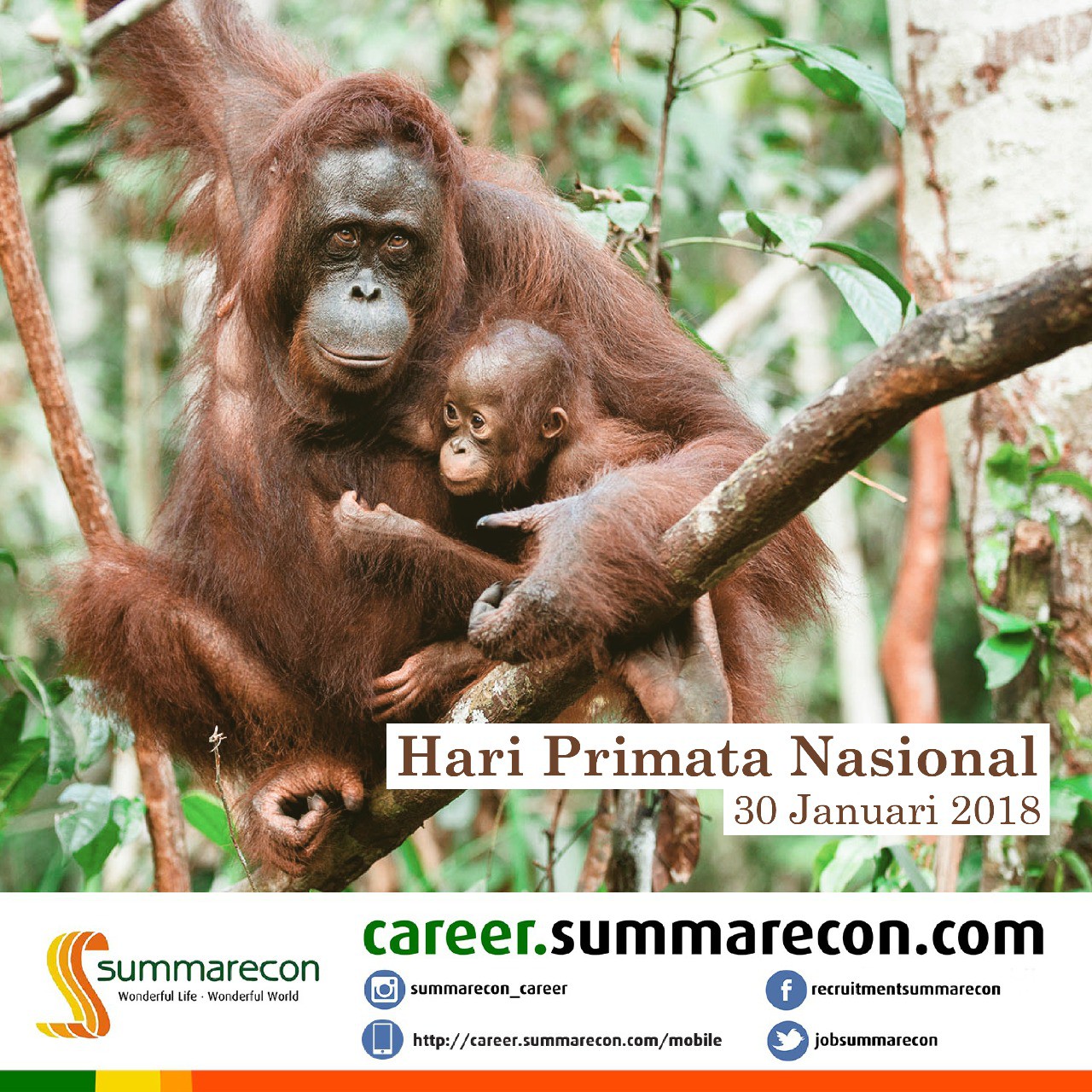Hari Primata Nasional