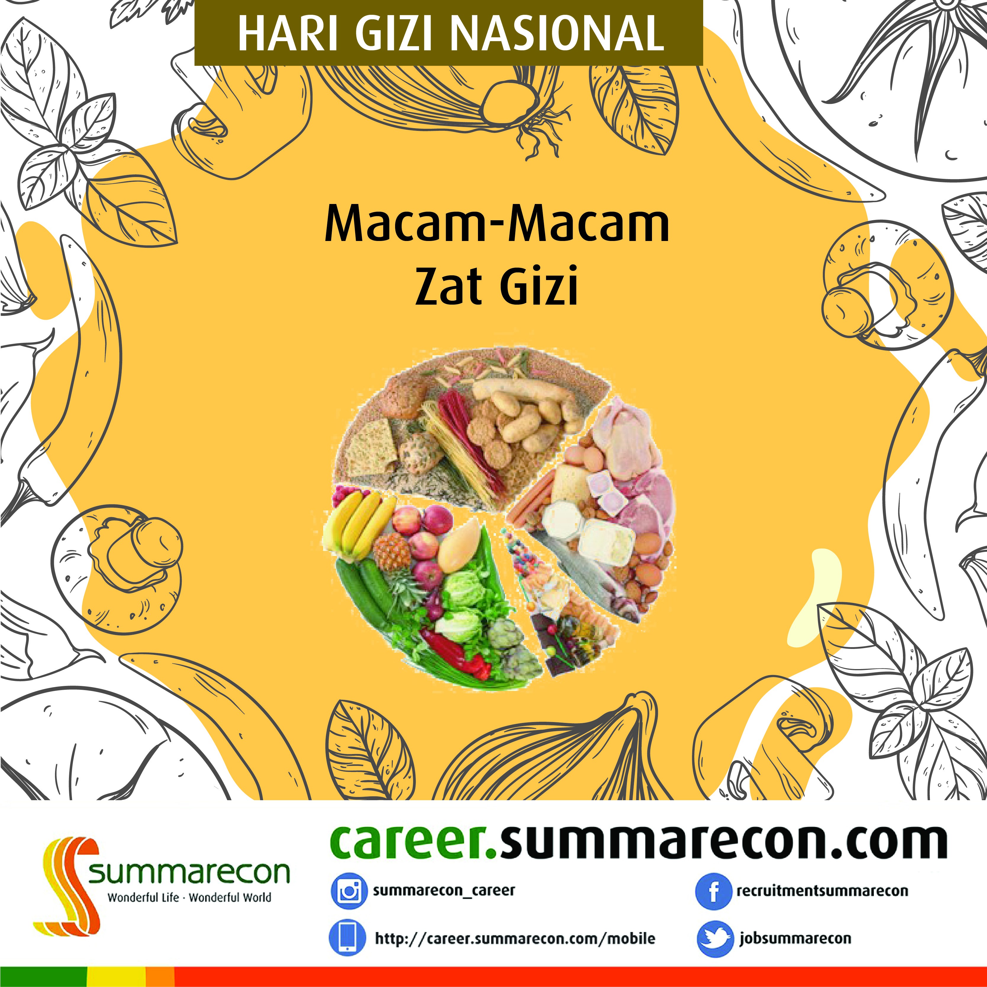 Trivia Gizi & Makanan - Macam-Macam Gizi