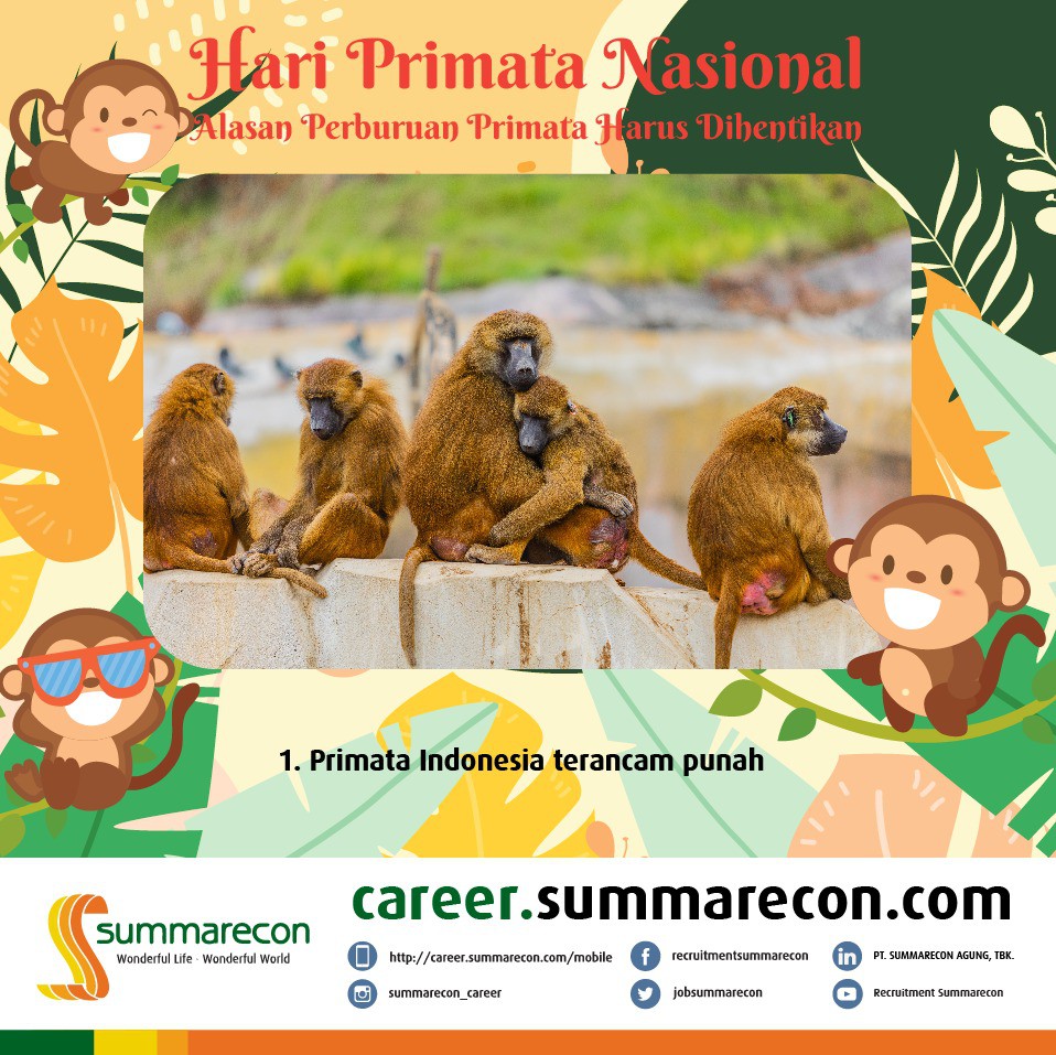 Trivia Hari Primata Nasional  - Alasan Perburuan Primata Harus Dihentikan (1/5)