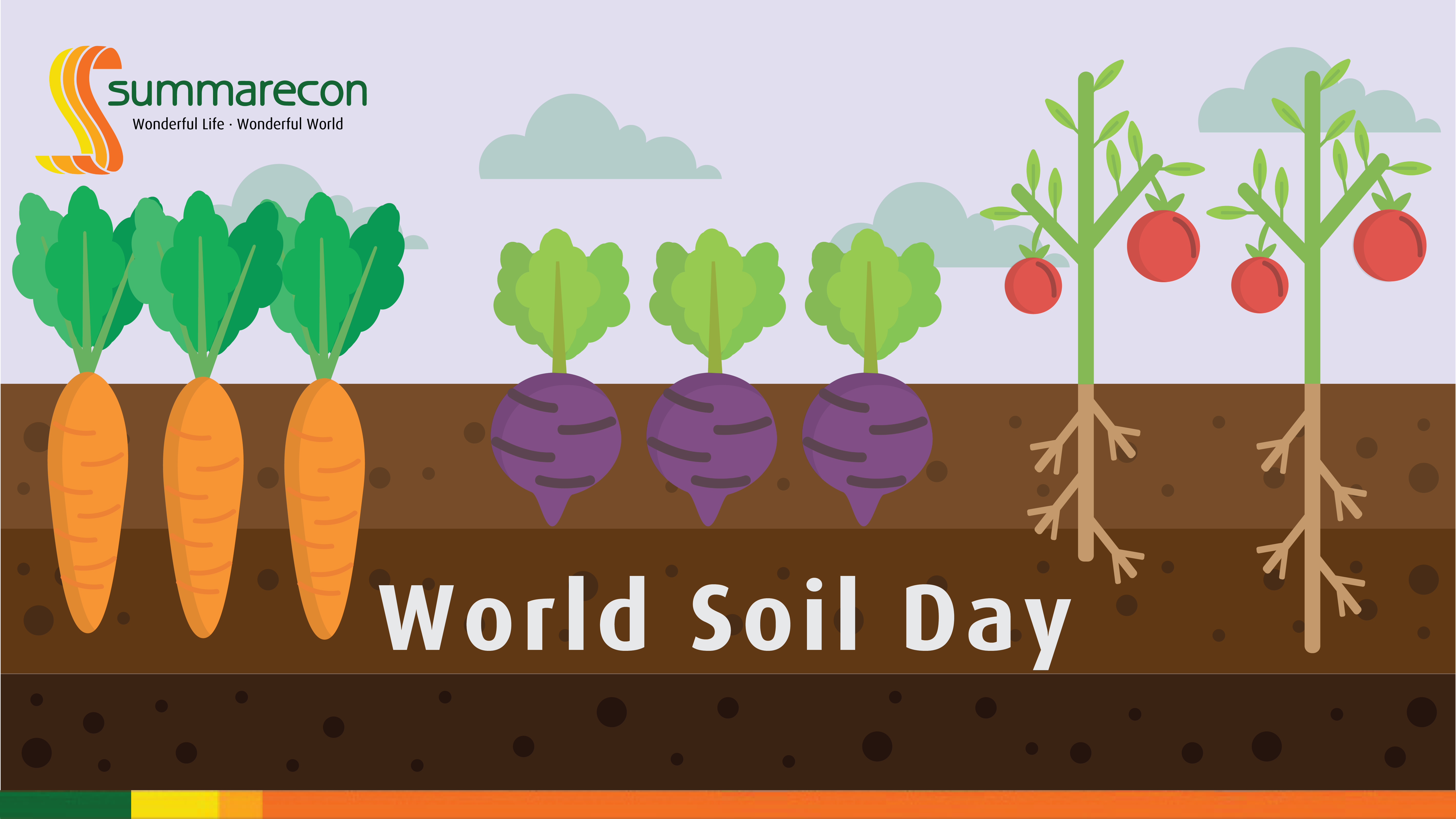 World Soil Day