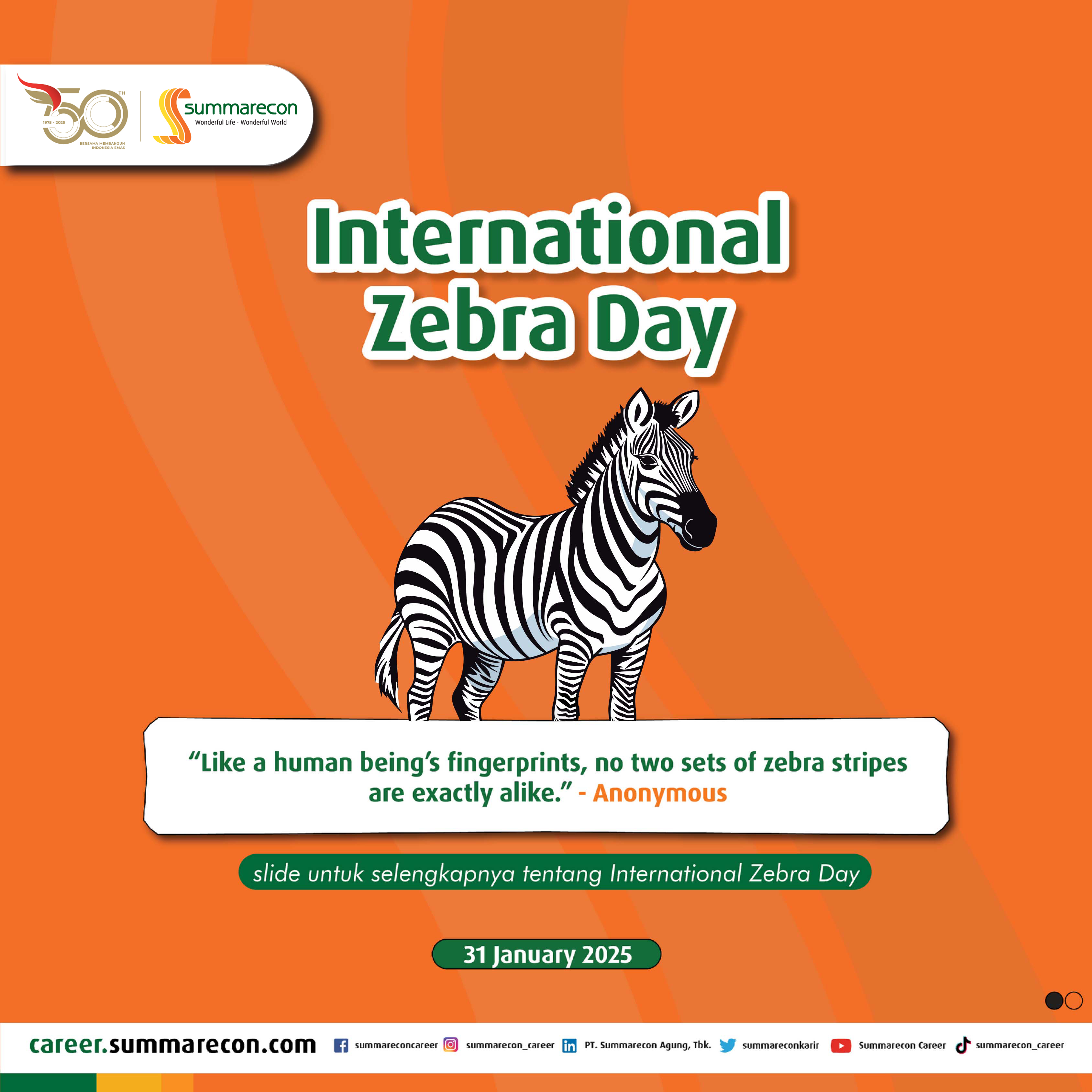 International Zebra Day