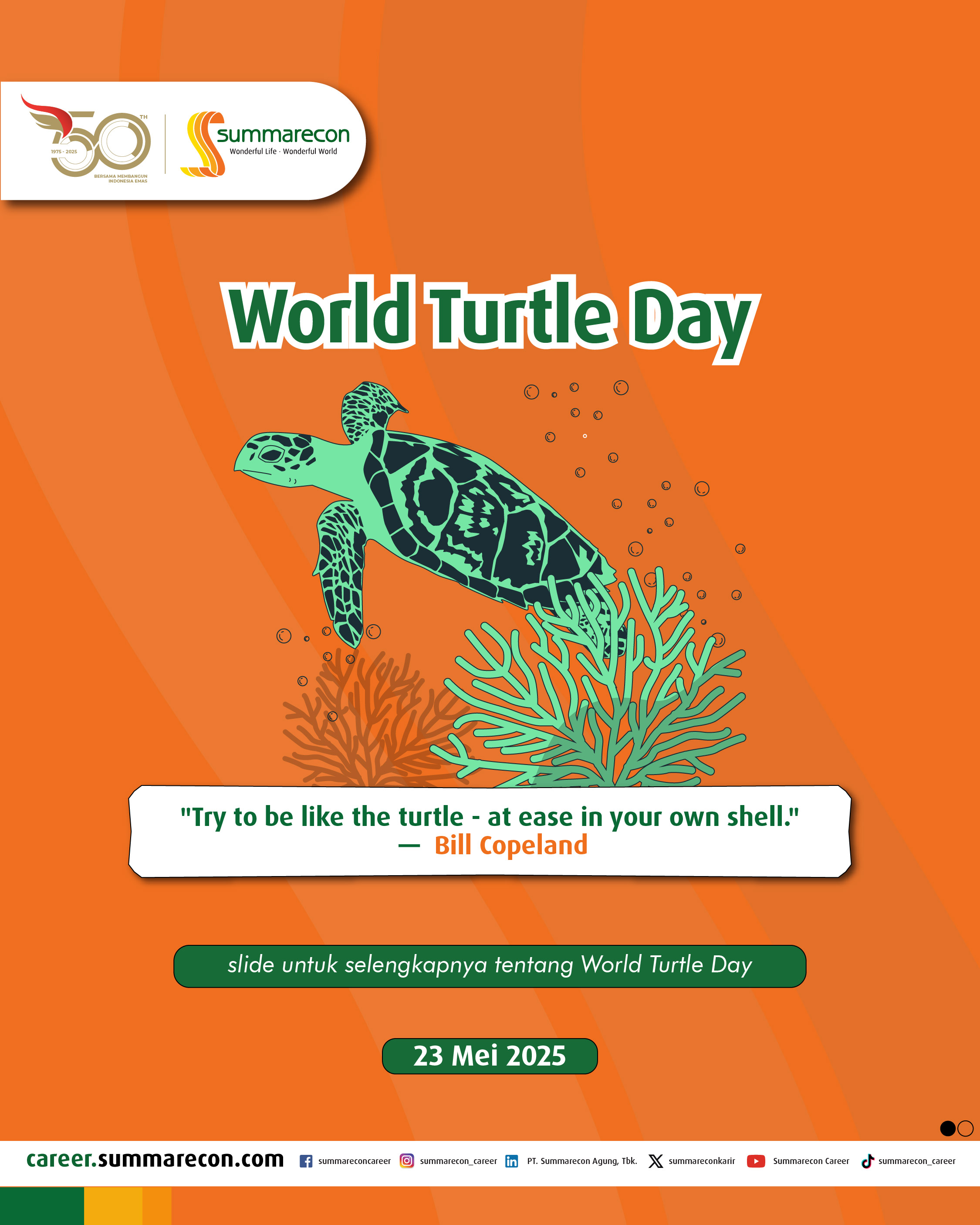 World Turtle Day