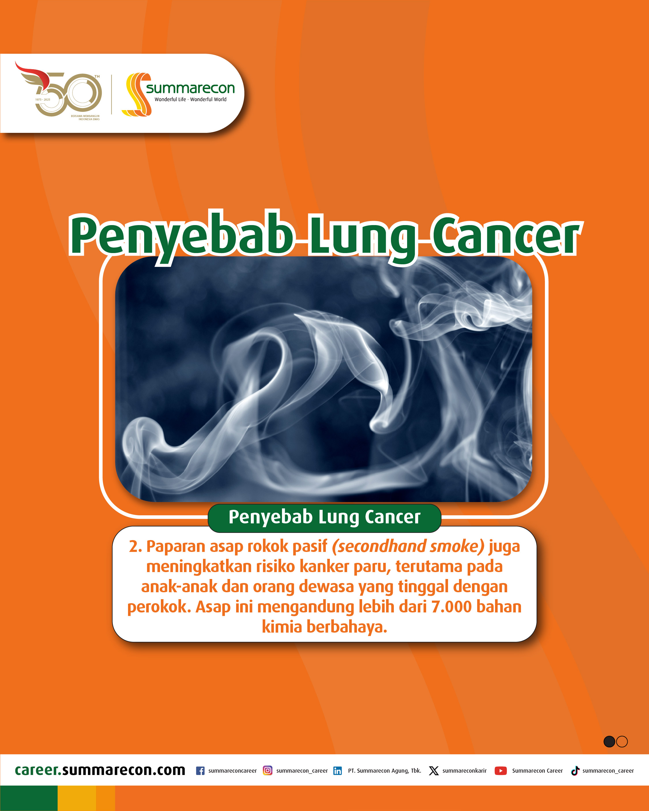 Penyebab Lung Cancer (2/4)