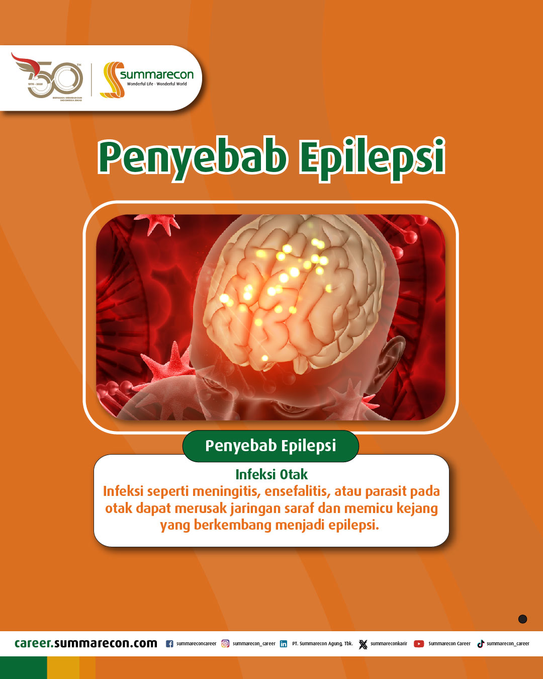 Penyebab Epilepsi (1/4)