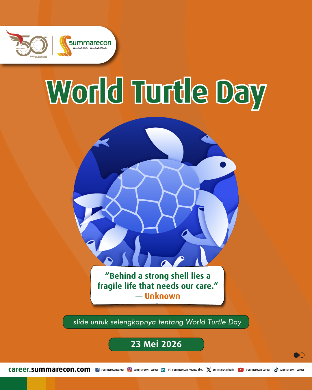 World Turtle Day